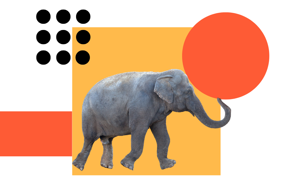 Elephant-transparent background